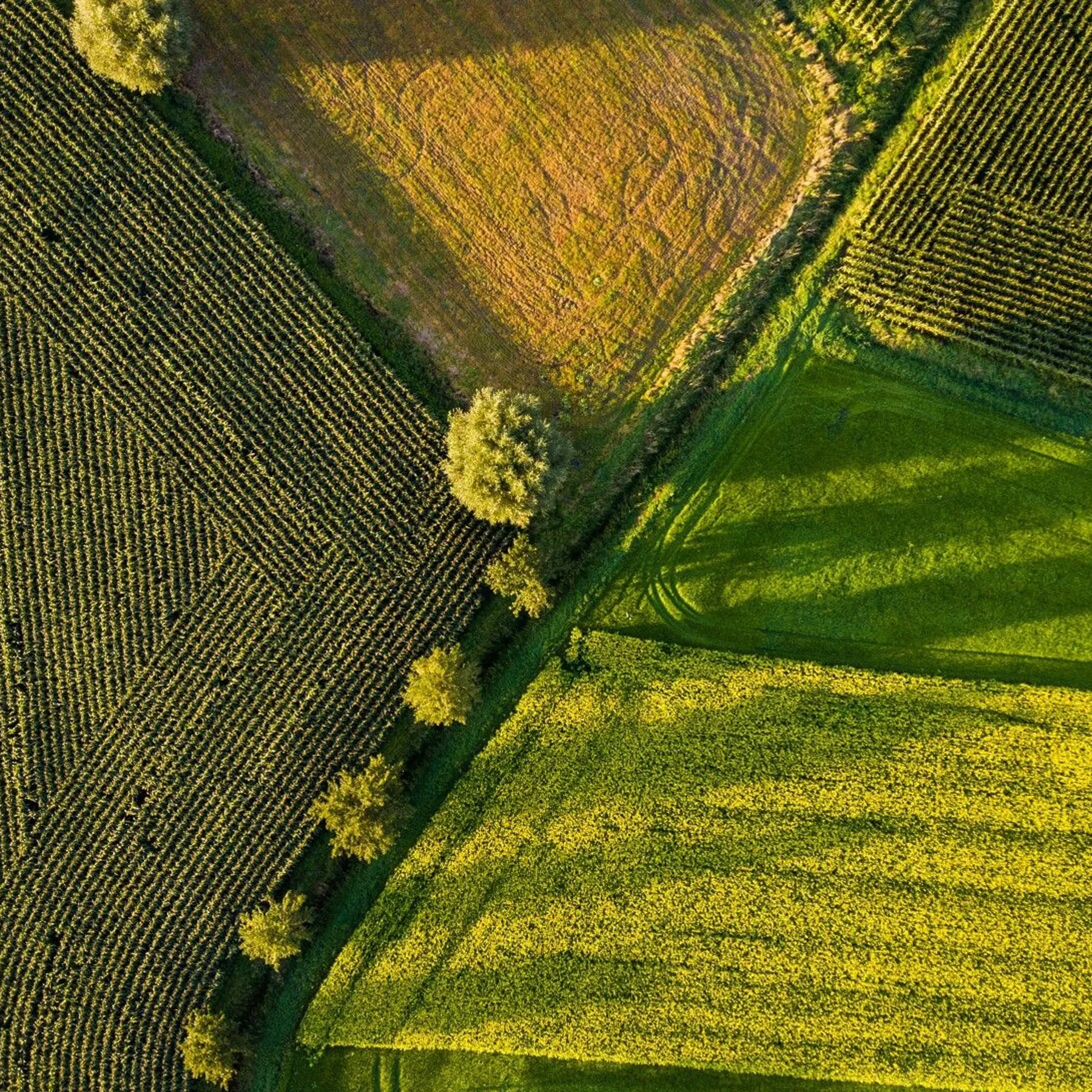 Ripresa con drone 